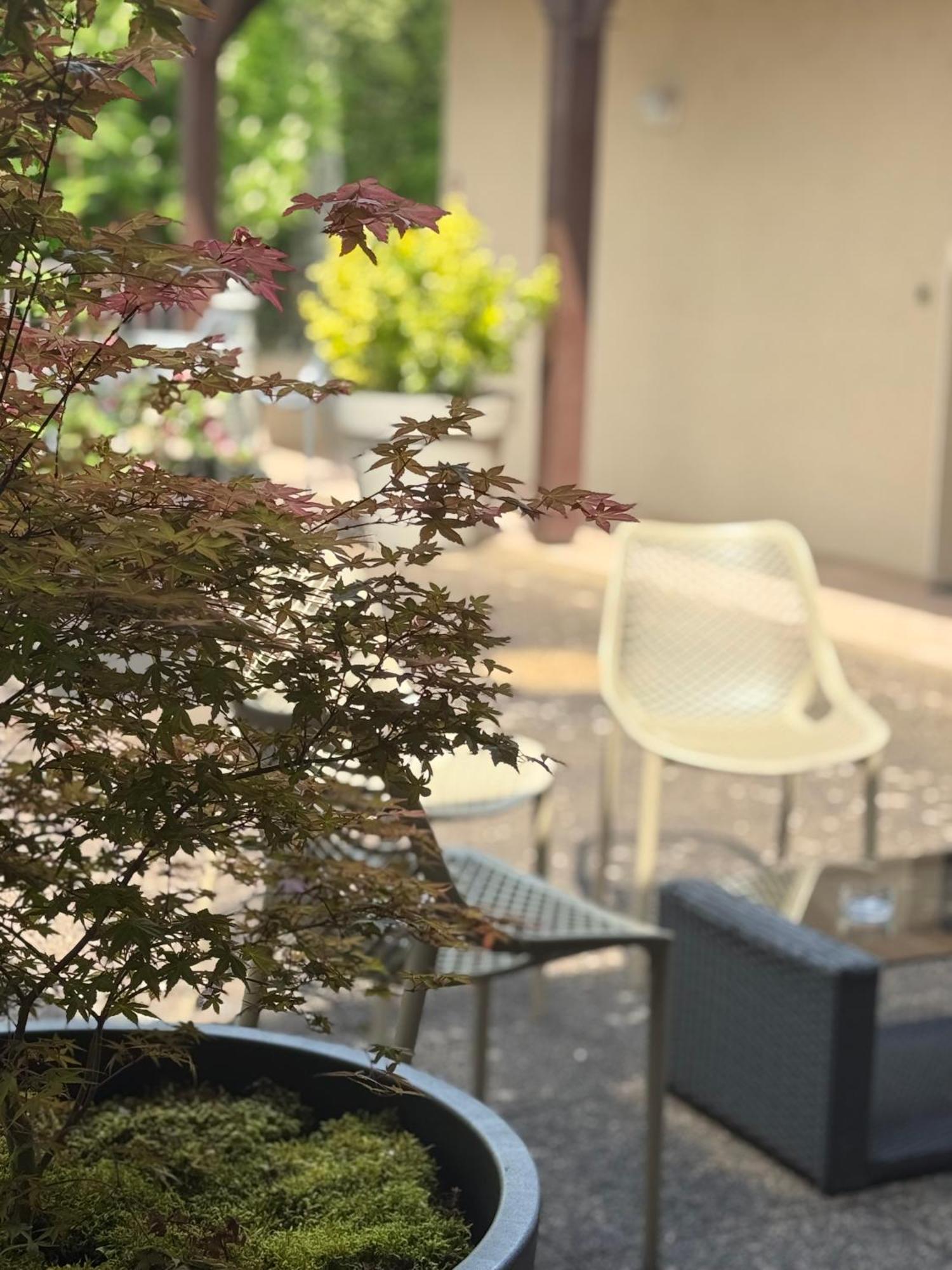 Le Victor Hugo - Hotel Et Restaurant - Logis Hotels Saint-Cere Luaran gambar